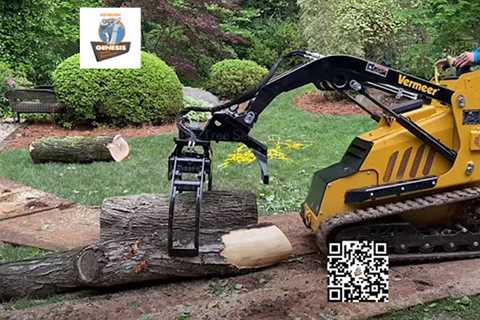 Genesis Tree Service Ashburn