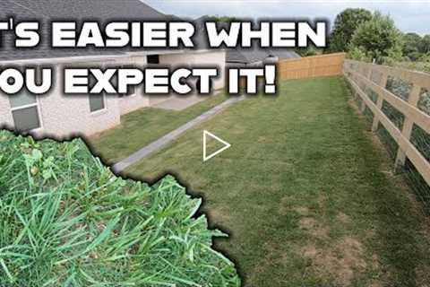 My new sod will NOT see a weed killer, and I'm still gonna win the weed war. Budget lawn care tips.