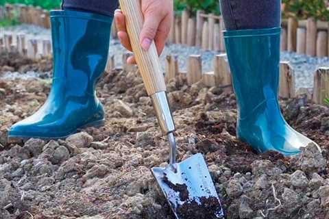 10 Best Garden Trowels