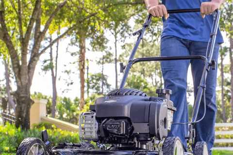 8 Best Gas Lawn Mowers