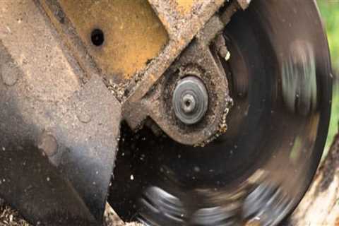 Why stump grinding?