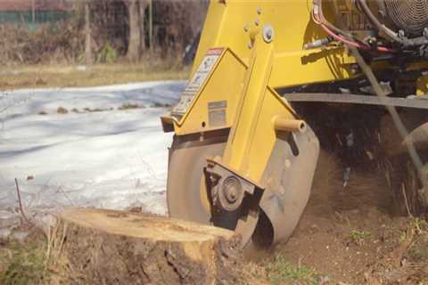 How does stump grinding work?