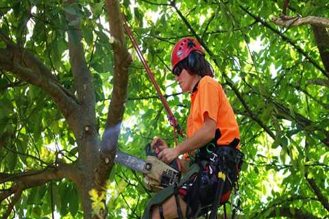 What is the difference between an arborist and a horticulturist?