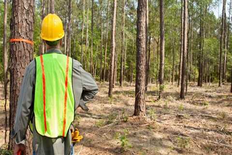 How can we sustainably clear land?