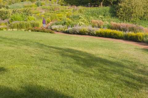 What should you do for your lawn in spring?