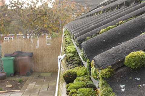 Roof Moss Removal