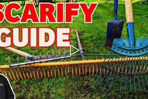 How to scarify a lawn | EVERYTHING you need to get it RIGHT | Lawn care for beginners