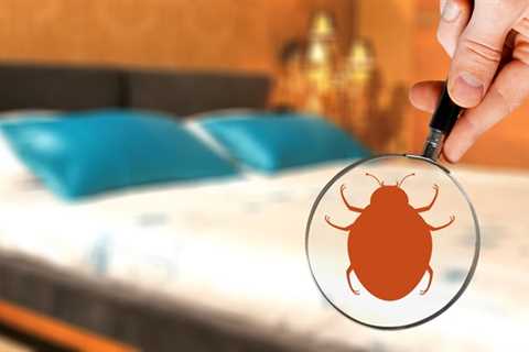 We Specialize in Residential and Commercial Bed Bug Inspection and Extermination