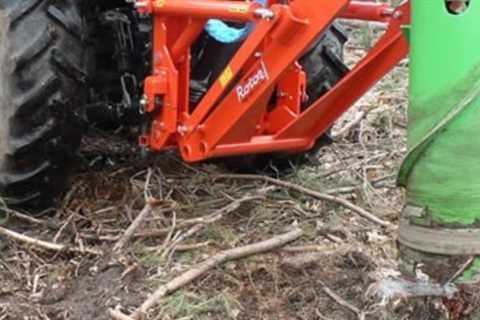 Residential & Commercial Root & Stump Removal Monmouth