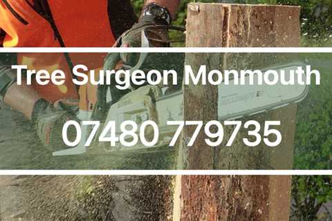 Tree Surgeon Abertysswg