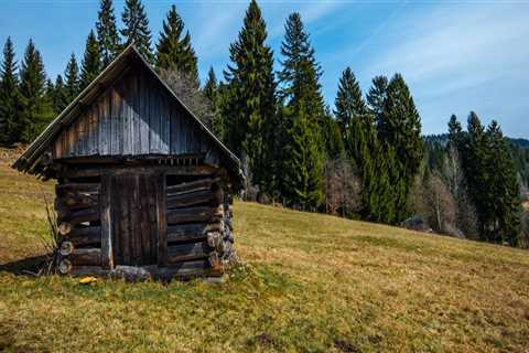 What are the problems with log cabins?