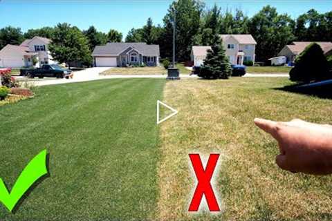 The #1 Way You're RUINING Your Lawn