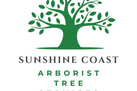 Tree Lopping Maroochydore | Tree Removal & Stump Grinding