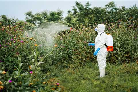 Weed Killer Ingredient Found in U.S. Urine Samples