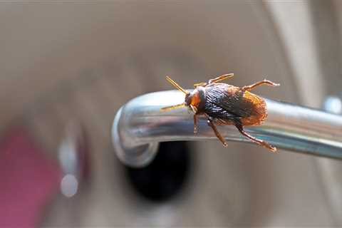 Are pest control chemicals harmful to humans?