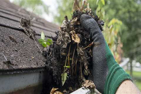 When gutters should be cleaned?