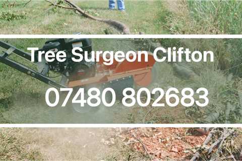 Tree Surgeon Alveston
