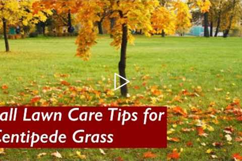 Fall Lawn Care for Centipede Grass | Negative effects of Pre-Emergent | Centipede Lawn Care
