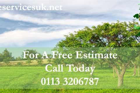 Tree Surgeons in Wighill 24 Hour Emergency Tree Services Felling Dismantling And Removal