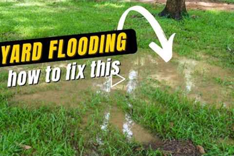 Flooded Yard Causes Major Problems Complete Yard Drain System - How to Fix - DIY for Homeowners