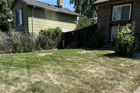 Is landscaping the same as lawn care?