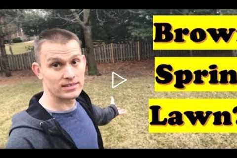 Turn Brown Grass into Green Grass | Spring is Best time to Prevent Weeds (LAWN CARE)