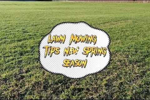 Lawn Mowing Tips and Tricks for A Healthy Thick Green Lawn