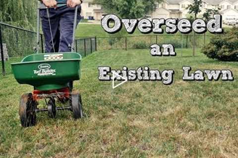 How To Overseed An Existing Lawn - Fall Lawn Renovation and Overseeding Step 4