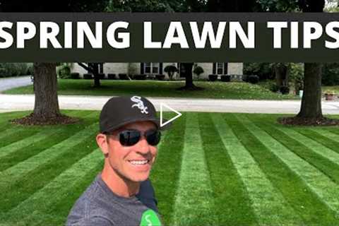 Get a THICK GREEN LAWN in 3 STEPS