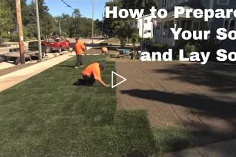 How to Prepare Your Soil and Lay Sod