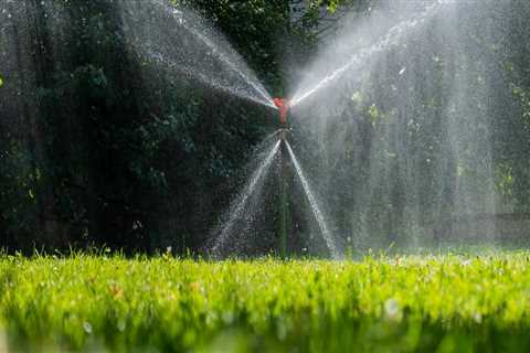 How To Choose The Best Sprinkler For Your Grass Seeds In Omaha