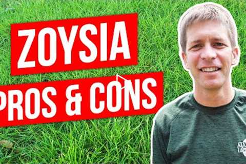 Zoysia Grass Lawn Pros, Cons, and Tips