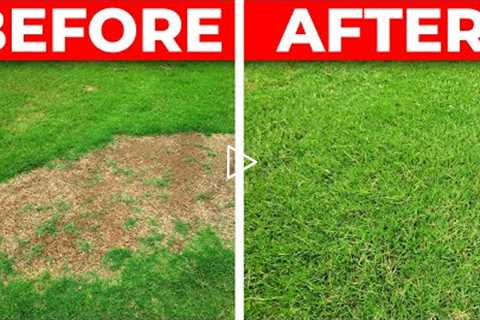 How to Fix a Bare Spot in the Lawn - 3 Tips for Fast Repair