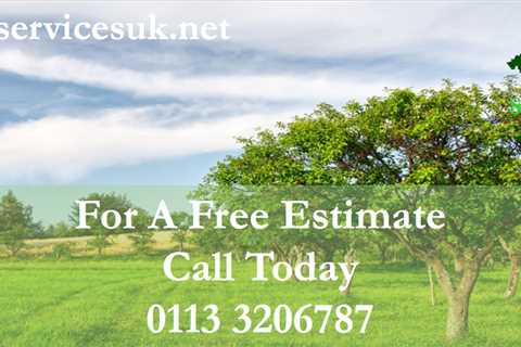 Tree Surgeon Leeds