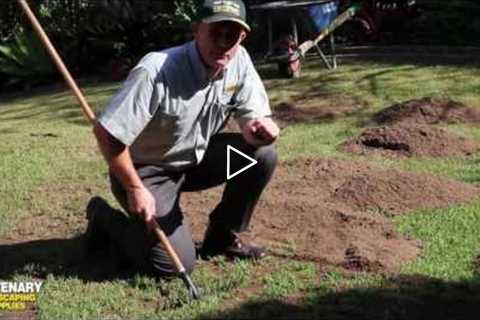 Top Dressing and Top Soiling your Lawn