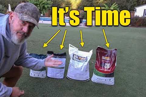 Fall Lawn Grub Killer and Last Fertilizer