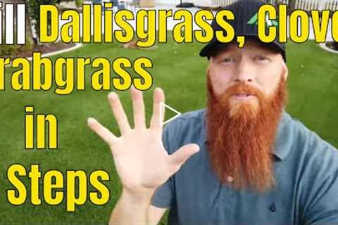 Kill Crabgrass, Dallisgrass, Clover in 5 Easy Steps. Oxalis, morning glory and Crabgrass Killer.