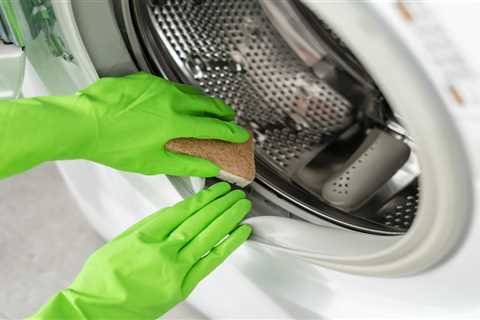 Tips To Get Rid of Mold in Your Washing Machine