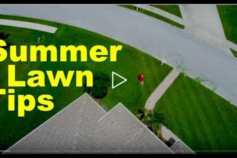 Summer Lawn Care Tips - North and South