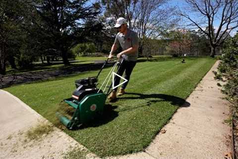 Everything To Know About Scarifying (Removing Thatch) From A Lawn (Lawn Renovation Series)