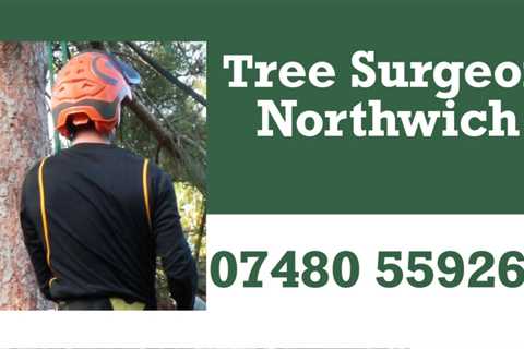 Tree Surgeon Appleton