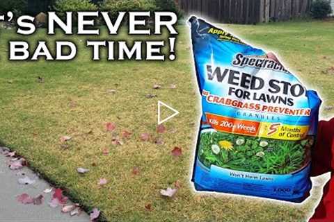 Weed free lawns happen at any time. Spectracide Weed Stop Pre-Emergent can help if you use it right.