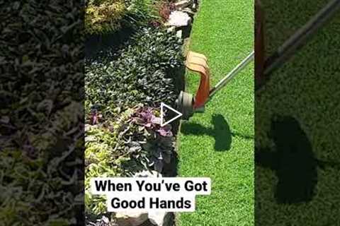 Good Hands for Good Edging 🤲 💯#shorts #lawn #edge