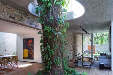 Can a tree survive indoors?