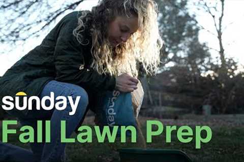 How to Prepare Your Lawn for Fall