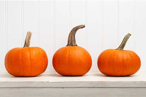 How Long Do Pumpkins Last?