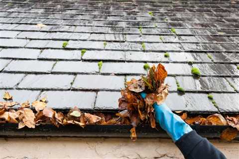 Simple Gutter Cleaning Guide – Evelyne-Dheliat