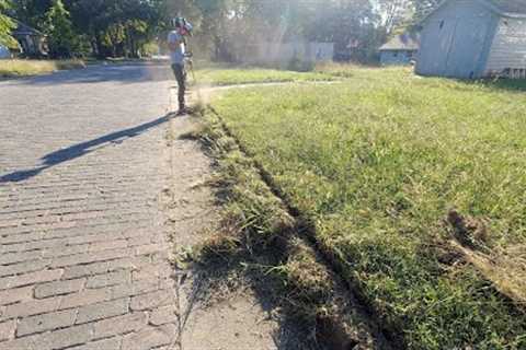 It seemed like MILES of overgrown sidewalk - So I knocked on the door and asked to fix it for FREE