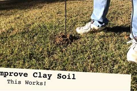 IMPROVE CLAY SOIL - 5 Step Strategy to better grass growth and drainage