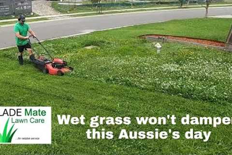 Satisfying lawn mowing   Summer in Australia